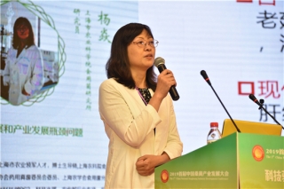 杨焱：从源头到过程严把质量关 让中国桑黄产业健康发展 ()