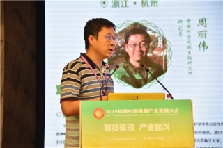 周丽伟：桑黄名称亟待规范 用正确种名发表研究成果 ()