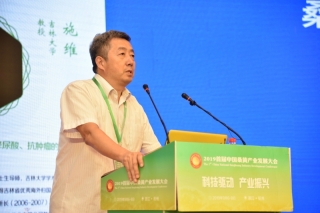 施维：桑黄提取物的抗肿瘤研究为产品开发奠定了基础 ()