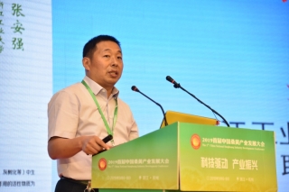 张安强：桑黄多糖在药理活性中起到重要作用 ()