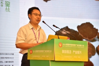 汪鋆植：除抗癌作用外 桑黄对女性健康的重要性也是不可忽视 ()