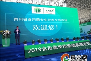 创建大市场 成就大产业：2019ManBetX体育市场流通高峰论坛在贵阳举行 ()