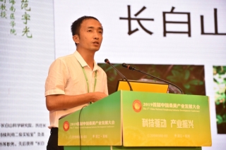 范宇光：标准化制定 优良菌种的筛选是长白山桑黄转化效益的重要因素 ()