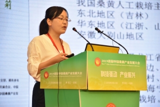 史莉莉：2019年或将成为我国桑黄产业发展元年 ()