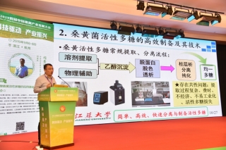 闫景坤：深入桑黄基础研究 实现产业振兴和可持续发展 ()