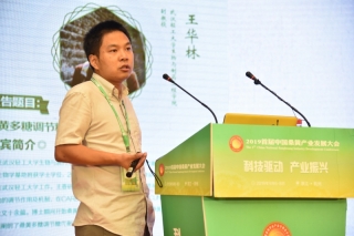 王华林：桑黄多糖具有调节肝脏糖代谢的作用 ()