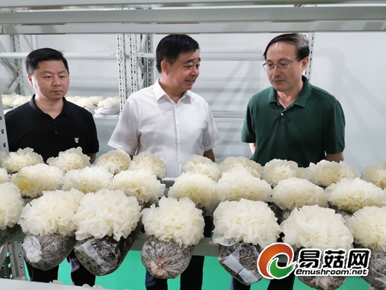 微信图片_20190915150545-550