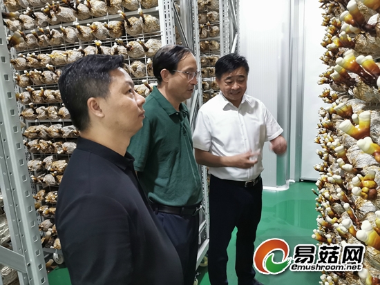 微信图片_20190915150527-550