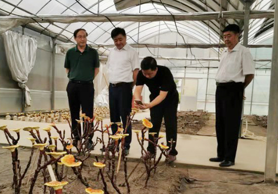 微信图片_20190915150258-550