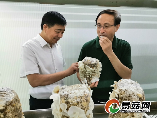 微信图片_20190915150511-550