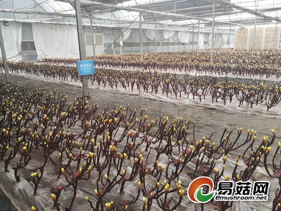 微信图片_20190915161258-550