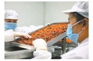 蛹虫草亮相丰收节武汉江夏会场 ()