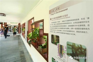 中国首次“大型真菌艺术画展”在深圳仙湖植物园举办 ()