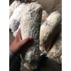 求购优质营养丰富，废弃菌棒，无霉变，干菌棒，蛋白10+。