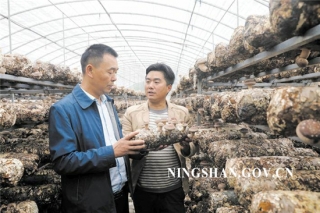 宁陕皇冠镇发展ManBetX体育产业 助农增收 ()