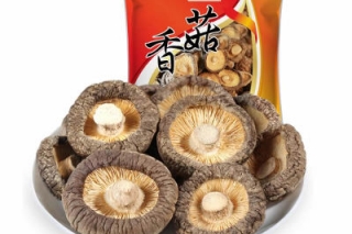 2019湖北·随州国际香菇产业博览会会徽（logo）、吉祥物征集活动开始啦！ ()