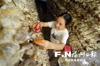 发展精致农业融合一二三产 罗源“Manbetx体育手机版推荐A9版本大镇”破茧重生 ()