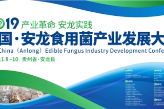 2019中国·贵州Manbetx体育手机版推荐A9版本产业发展大会赞助方案 ()