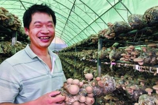 房县香菇：香飘海外出口创汇 ()