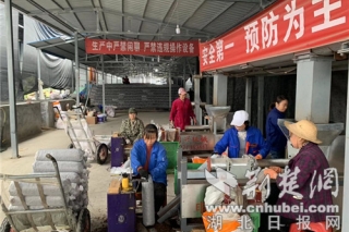 竹溪水坪镇：“贫困户+合作社+公司”模式种植香菇脱贫 ()