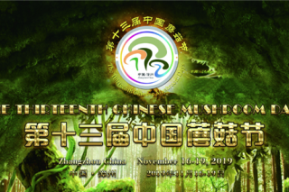 第十三届中国蘑菇节通知（第一轮） ()