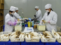 黑龙江明水：Manbetx体育手机版推荐A9版本产业助力精准扶贫 ()