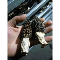 Manbetx体育手机版推荐A9版本烘干房制造厂家 空气能烘干房 随州远图厂家直销