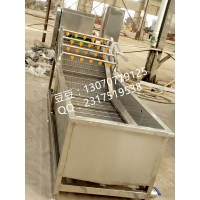 果蔬清洗设备 香菇清洗机