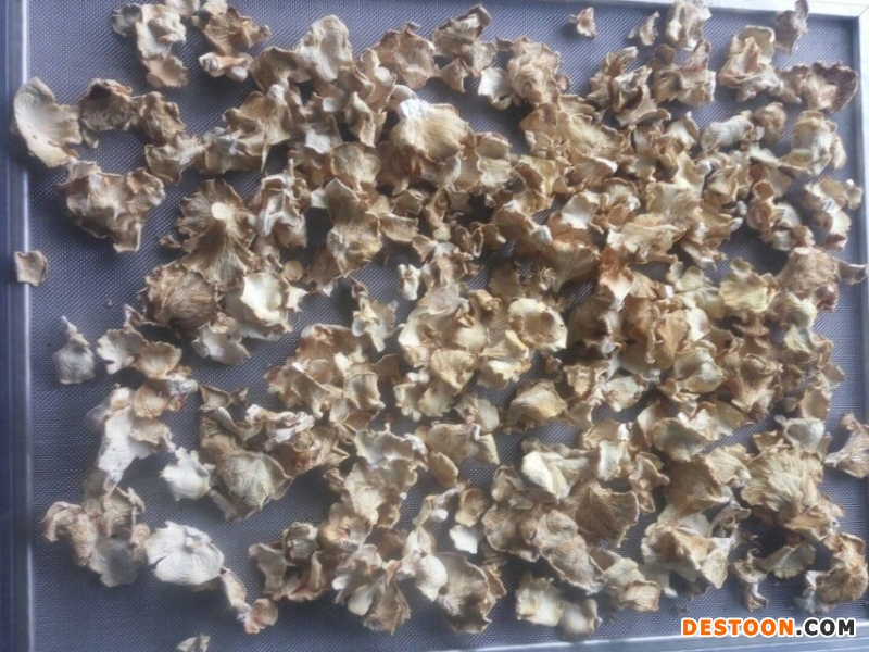 QQ图片20190426094052