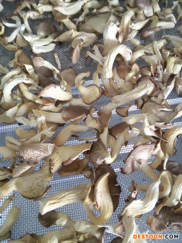 QQ图片20190426094147