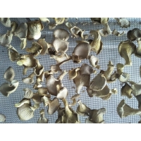 随州香菇烘干机多少钱一台