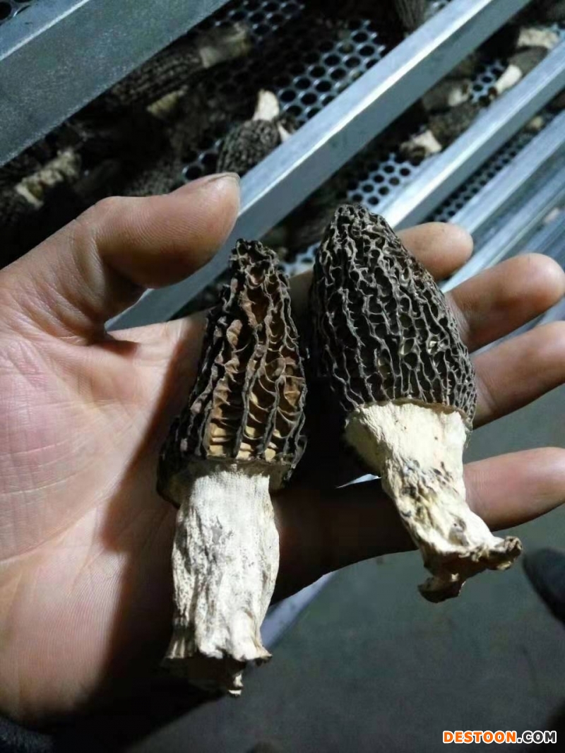 微信图片_20190810150545