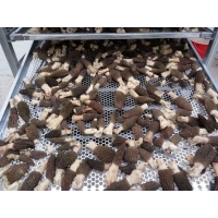 Manbetx体育手机版推荐A9版本烘干机 Manbetx体育手机版推荐A9版本烘干设备  Manbetx体育手机版推荐A9版本烘房厂家直销