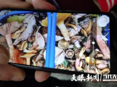 吃了“小白菌”，贵阳一家人中毒进了医院 提醒：食用野生菌有这七大误区 ()