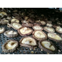 随州香菇烘干机  随州香菇烘干设备  随州香菇烘房厂家直销