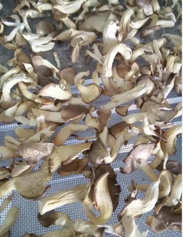 微信图片_20190810150515