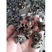 蘑菇烘干机  蘑菇烘干设备  蘑菇烘干机厂家