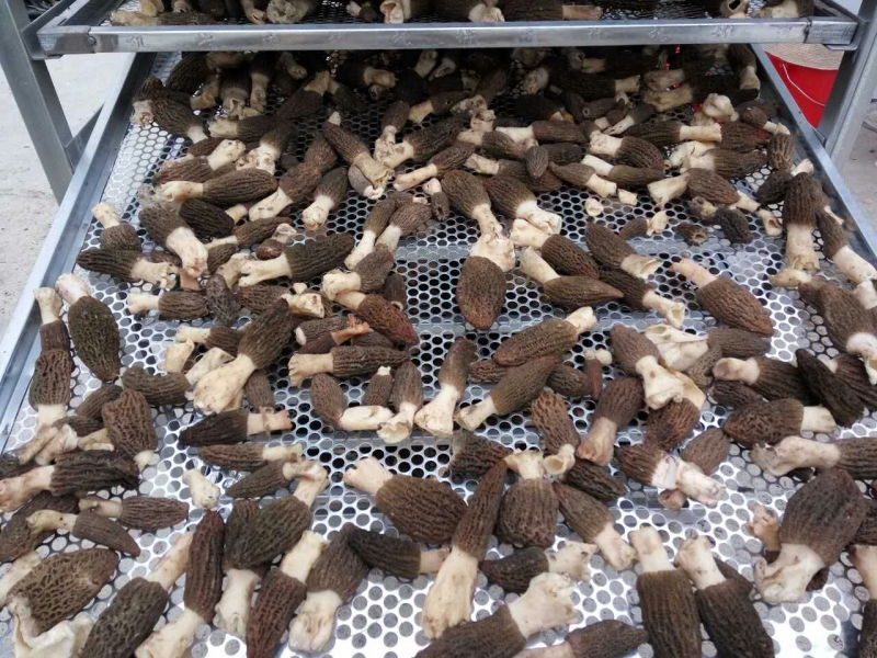 Manbetx体育手机版推荐A9版本