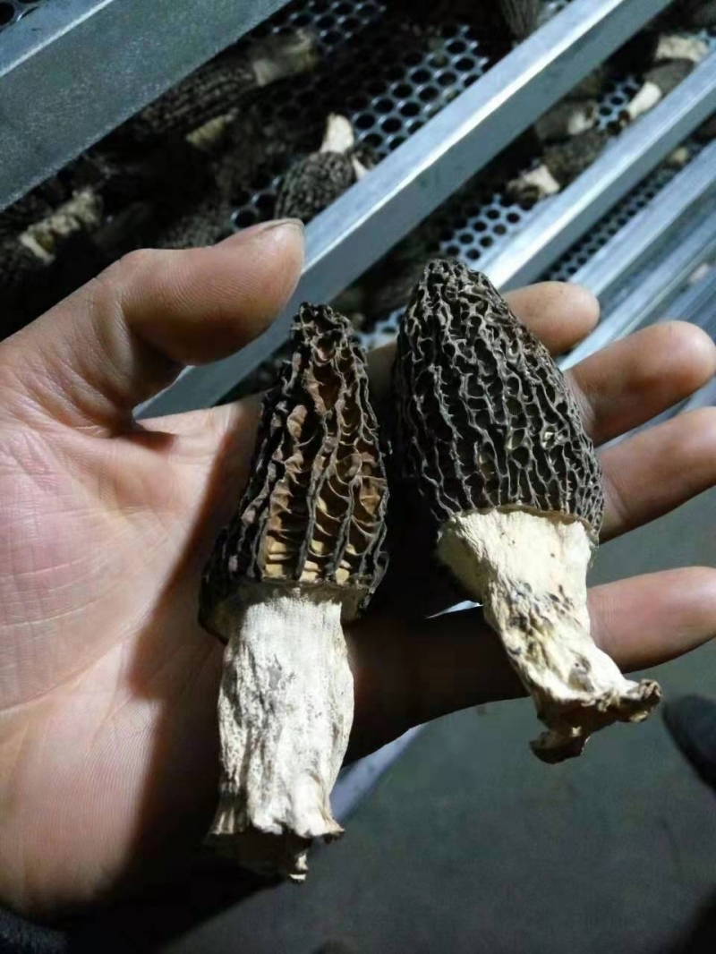 微信图片_20190810150545