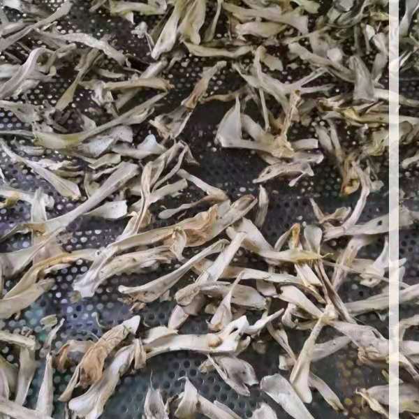 微信图片_20190810150529