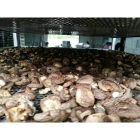 香菇空气能烘干机公司  香菇空气能烘干机厂家