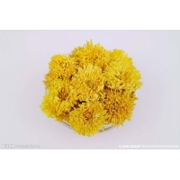 菊花空气能烘干机 菊花箱式烘干机 菊花烘干设备厂家直销