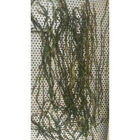 省电的空气能烘干机 让你烘干生活更美好