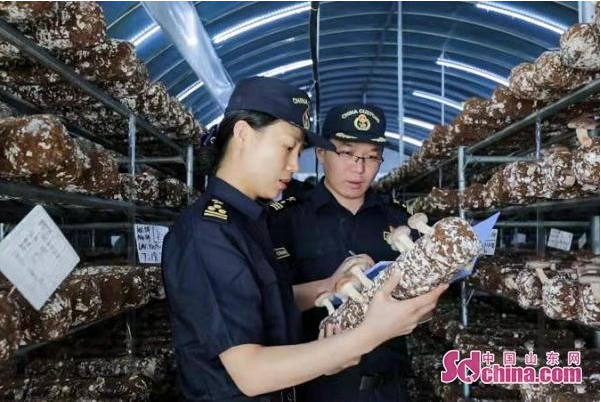 QQ图片20191105102416