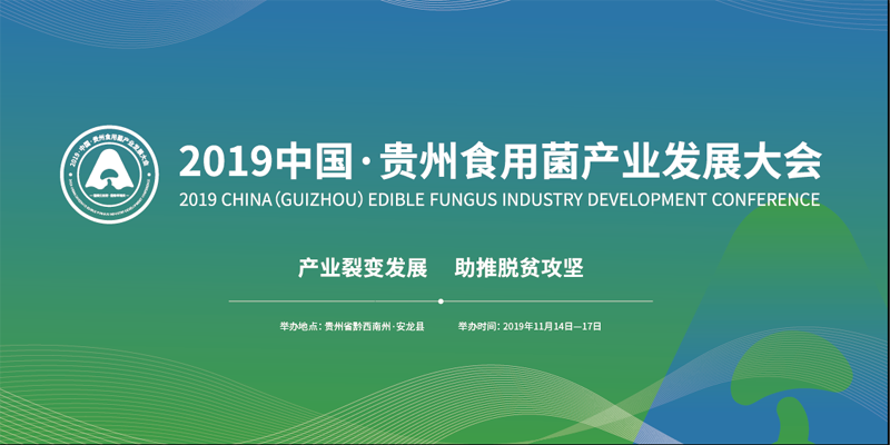 大会背景板横版