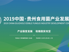 2019中国·贵州Manbetx体育手机版V17版本发布.官网安卓网.香港产业发展大会简要日程 ()