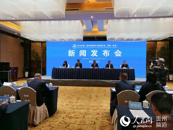 新闻发布会现场 。孙远桃 摄