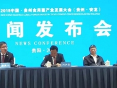 贵州日报：2019中国·贵州Manbetx体育手机版V17版本发布.官网安卓网.香港产业发展大会新闻发布会在贵阳举行 ()