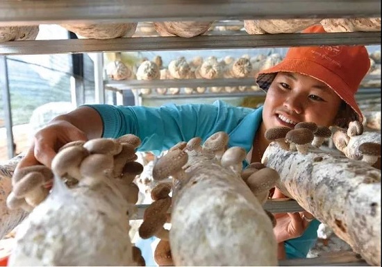 微信图片_20191111155001.jpg 微信图片_20191111155001.jpg