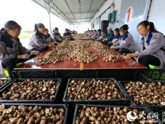 人民网：贵州安龙：Manbetx体育手机版V17版本发布.官网安卓网.香港产业“一包三保”助脱贫 ()